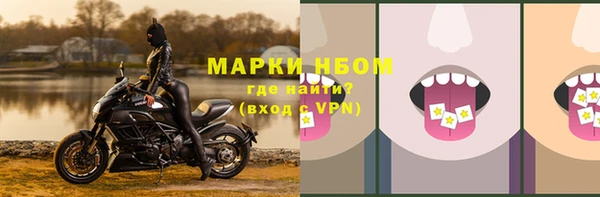 дживик Абинск