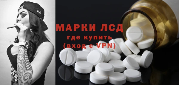 крисы Абаза