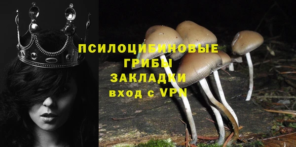 крисы Абаза