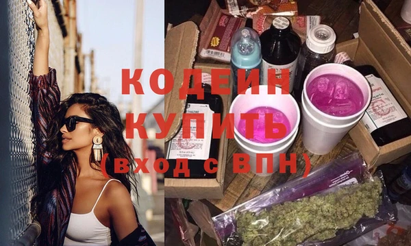 крисы Абаза